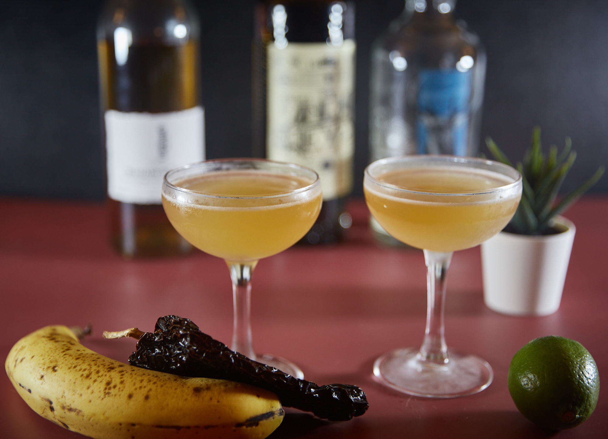 photograph of the drink
